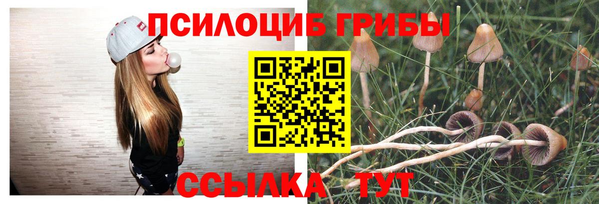 Псилоцибиновые грибы мухоморы  Вход с VPN  Зерноград 